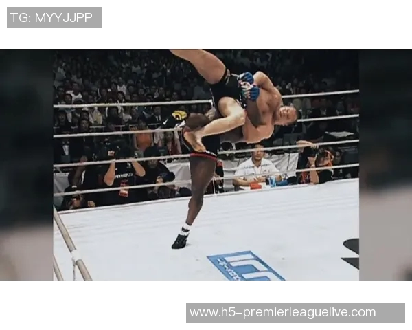 凯文兰德尔曼与菲多的巅峰对决谁将成为最终胜者